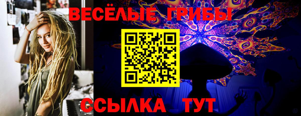 Галлюциногенные грибы Psilocybe  Галлюциногенные грибы Psilocybine cubensis  Вход с VPN  Казань 
